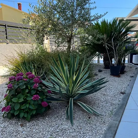 Medora Gasthuis 4*
